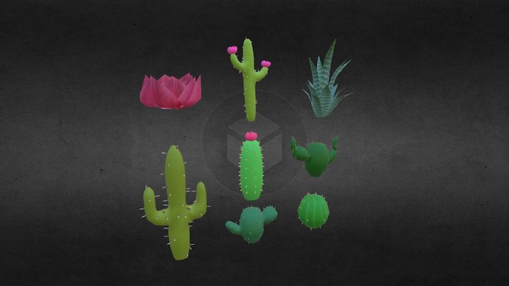 Cactus Collection - Desert Mine 3D Model