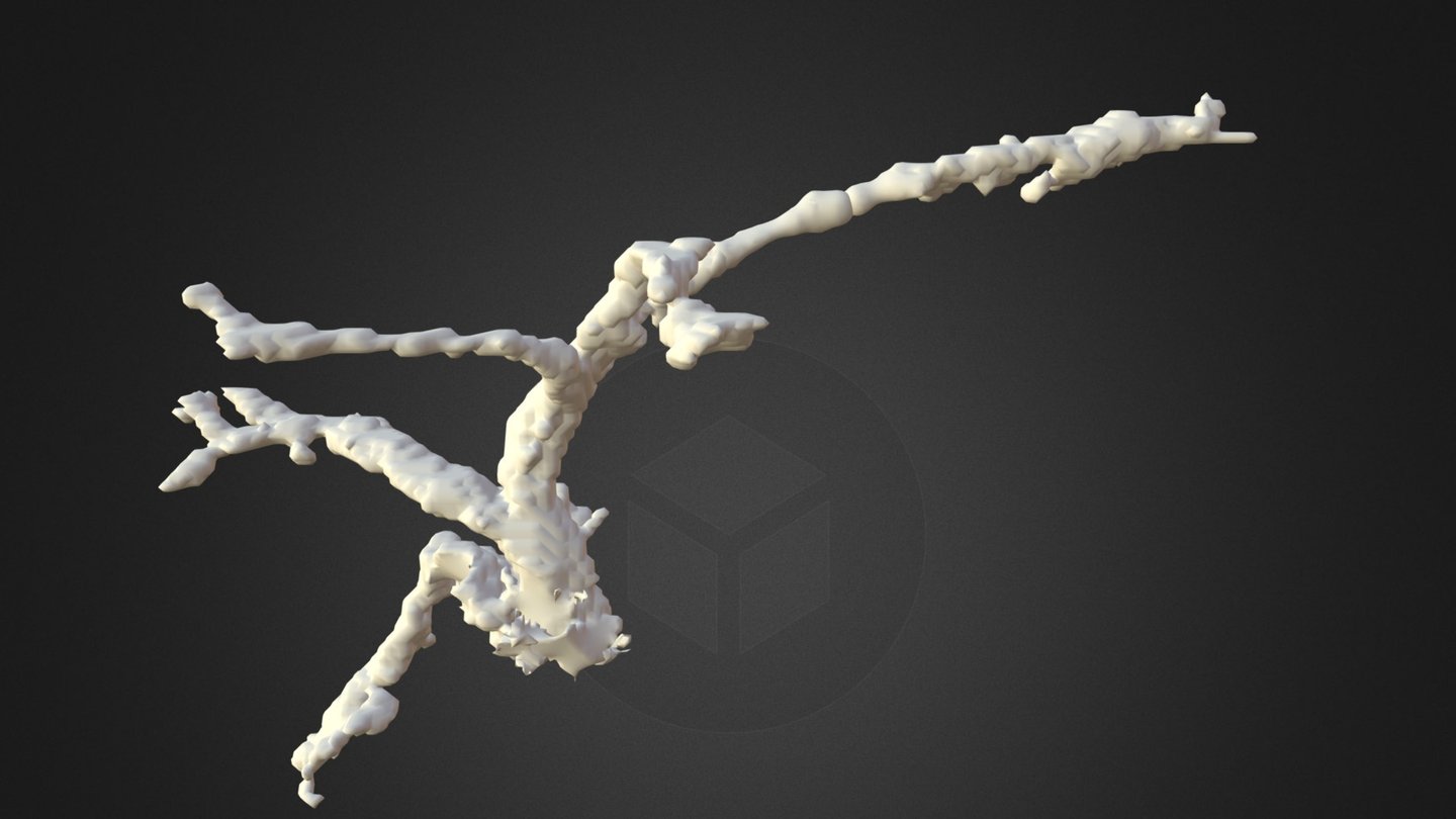 42658560BD - 3D model by chloroplast [36a9fa6] - Sketchfab