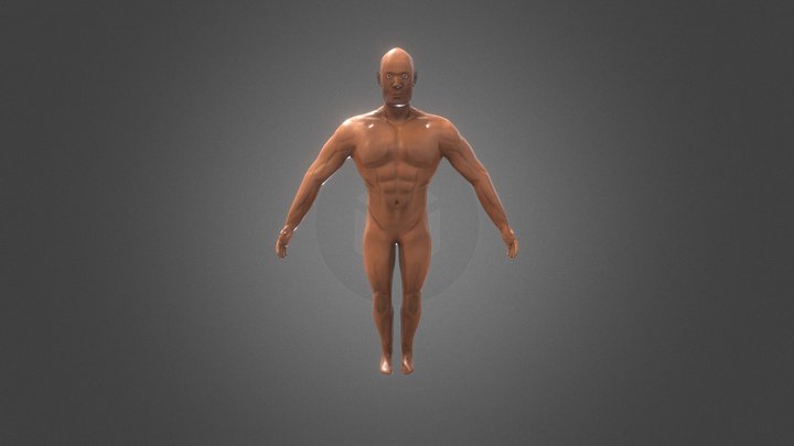 Textured Body (Final) 3D Model