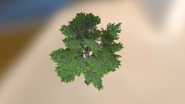 Tree Test 3D Model