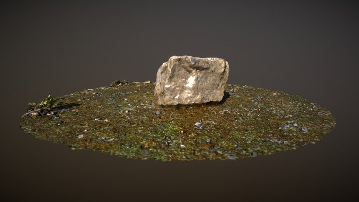 Small Rock on grass 3D Model