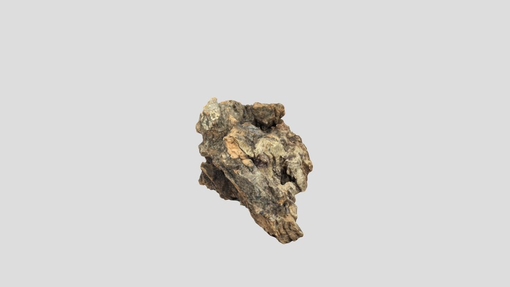 Cork chunk