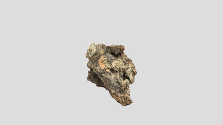 Cork chunk 3D Model