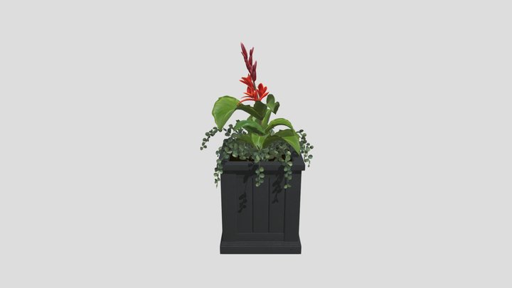 Potted Torch Ginger Plant – Free 3D Model STL
