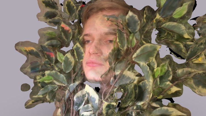 bushface 3D Model