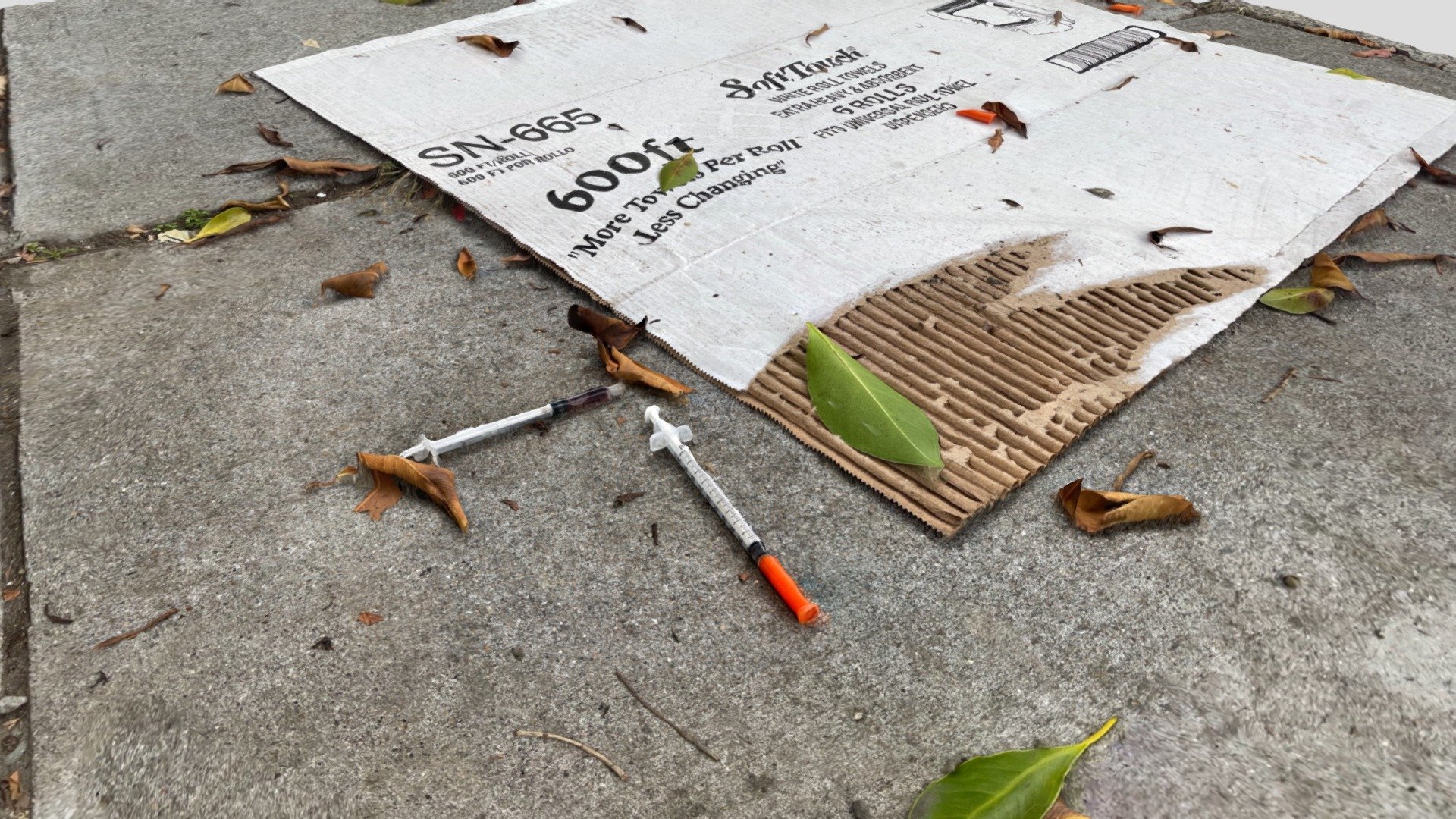 San Francisco needles