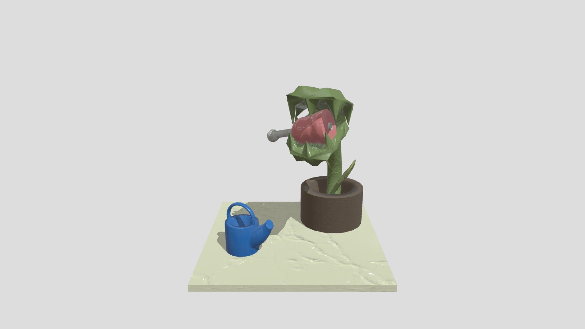 Plant