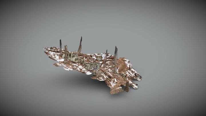 17 meters on the Appalachian Trail 3D Model