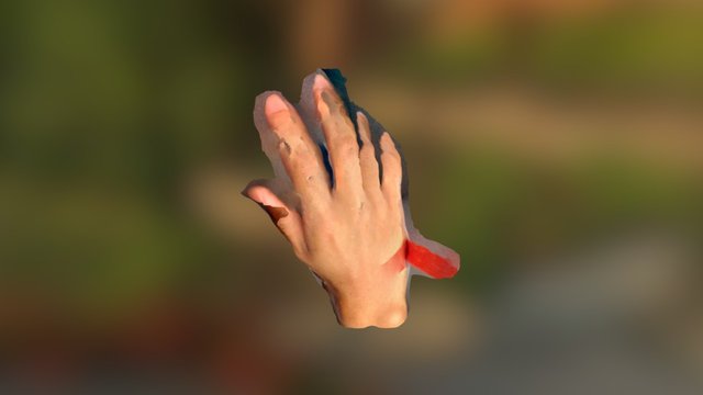Bing hand pop3 3D Model