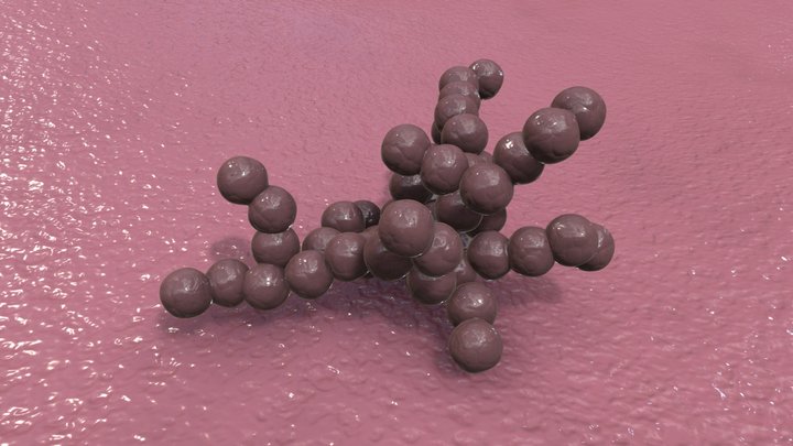 Putaoqiu 3D Model