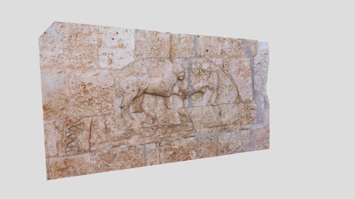 ¿LEÓN O CABALLO? 3D Model