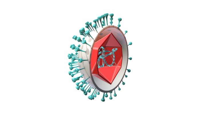 Herpes virus 3D Model