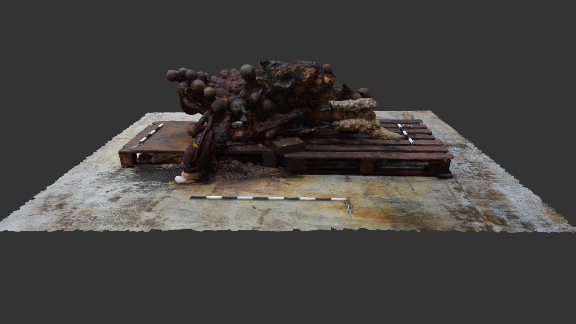 RK17 F00001 Concretion Stage 5