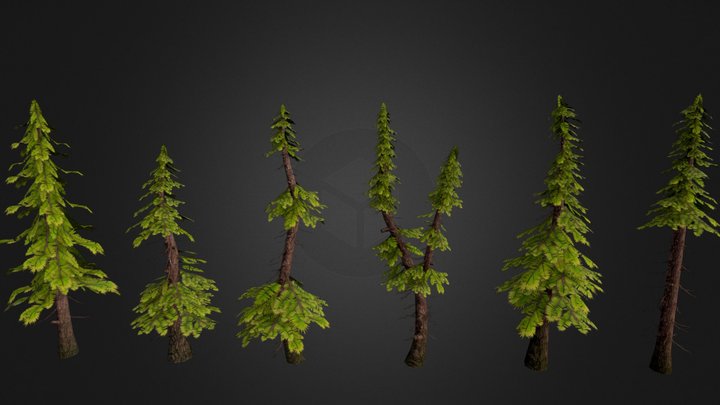 Stylized PineTrees 3D Model