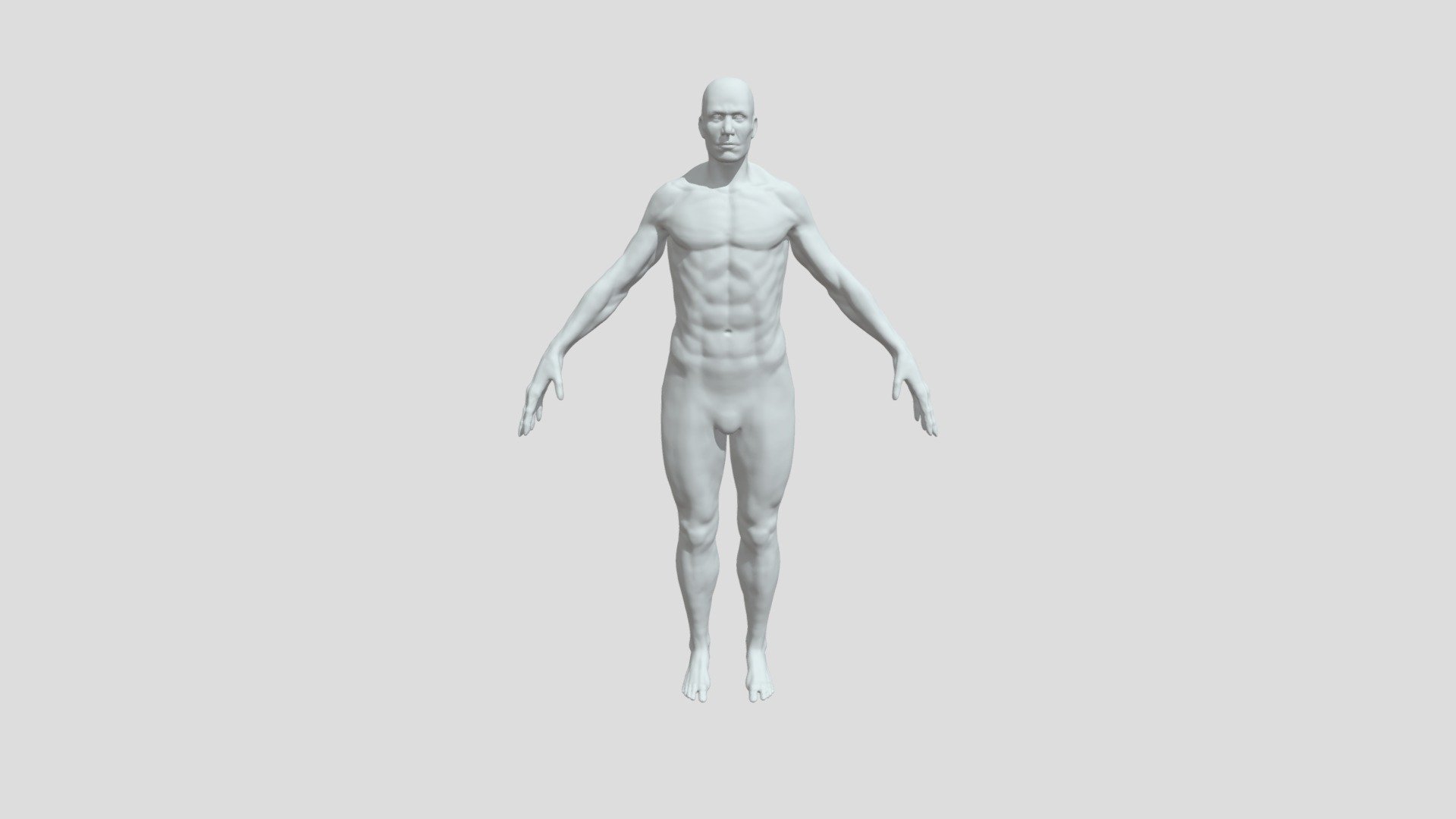 body - 3D model by Canl [36bfea9] - Sketchfab