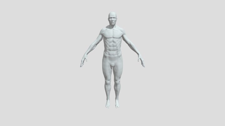 body 3D Model