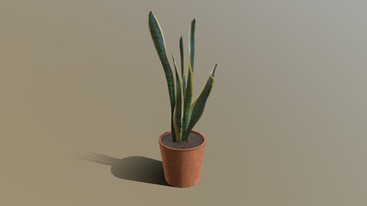 PLANT FBX1 3D Model