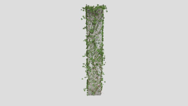 laos Vegetation Vertical Column 3D Model