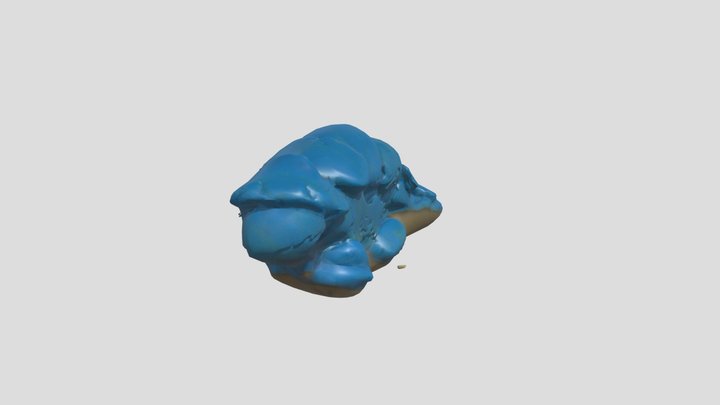 Ari – Kostenloses 3D-Modell STL