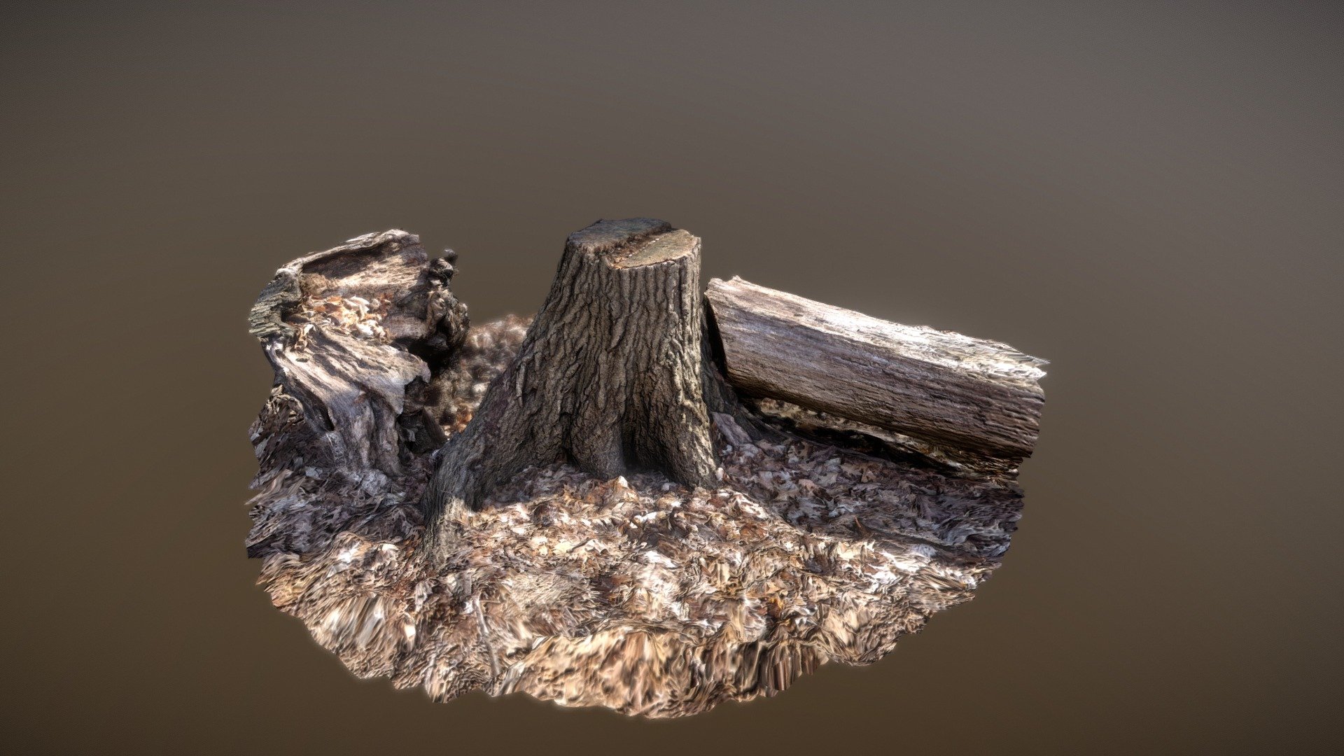 Tree Stump