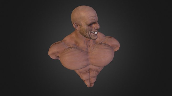Mad Bust 3D Model