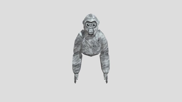 Gtag rig 3D Model