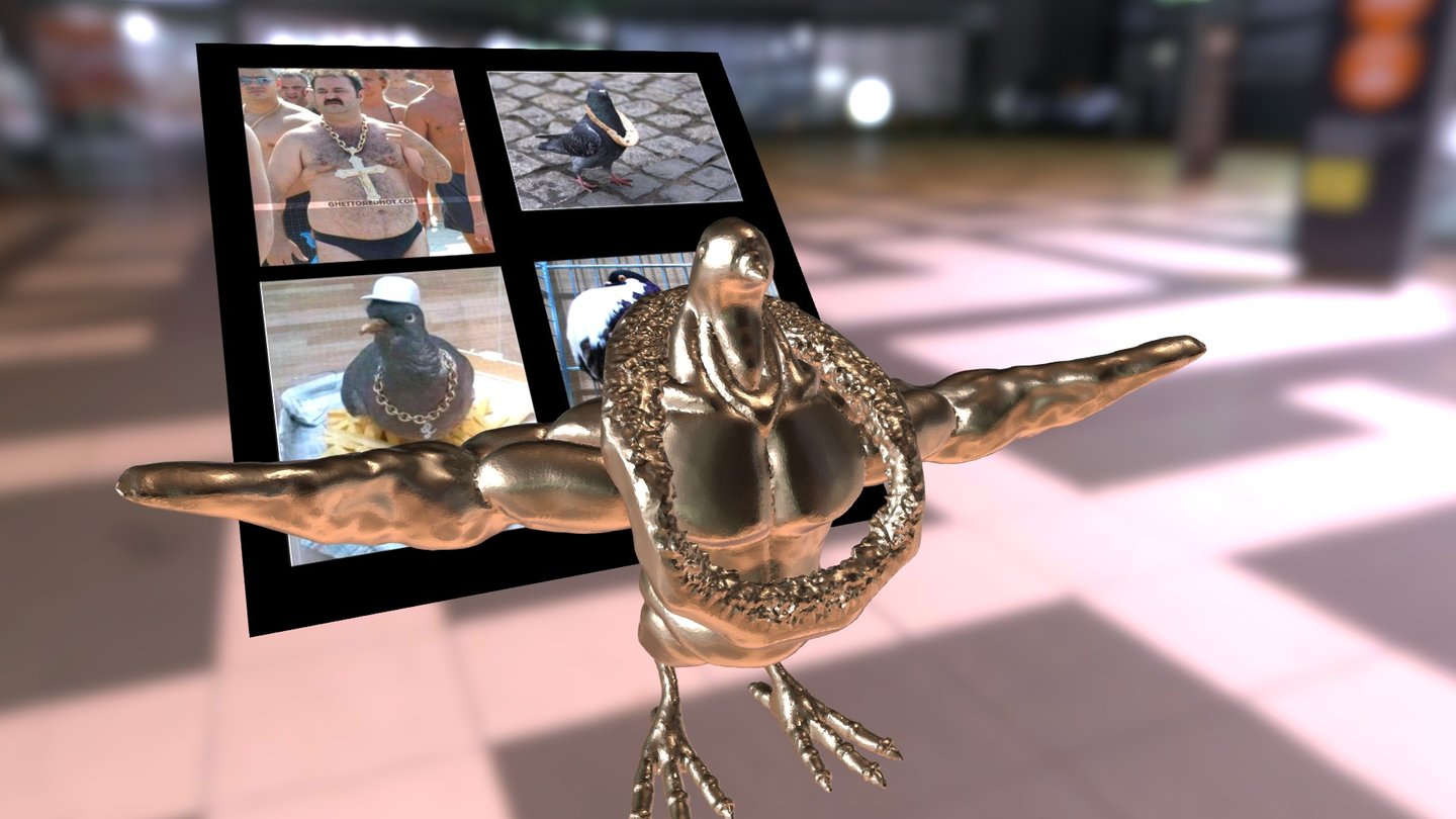 Pigeon homie