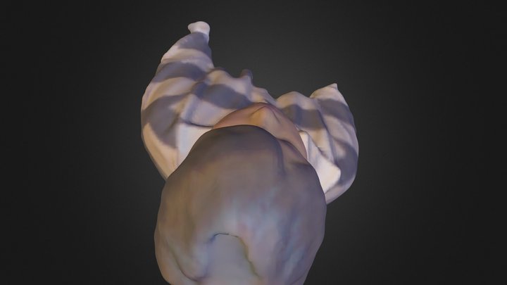 David Lettermen 3D Model