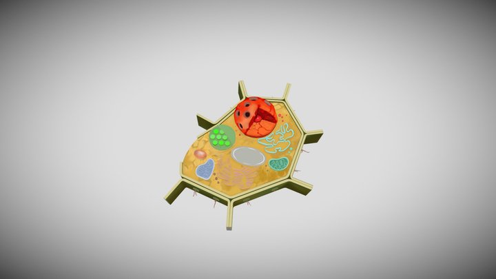 La Celula Vegetal 3D Model