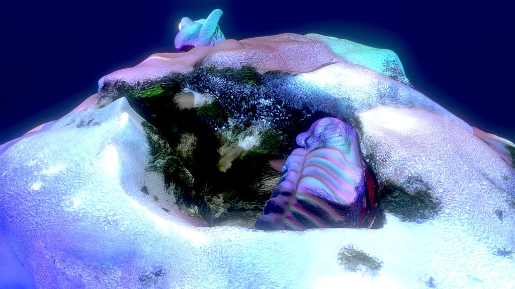 Iridescent Shell in a Mossy Crevice