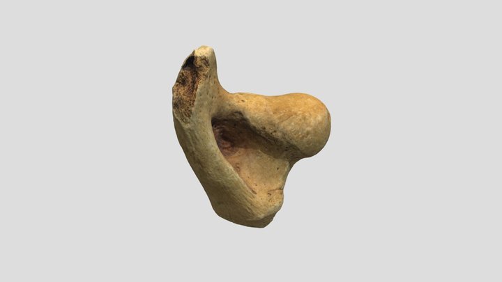 m17 3D Model