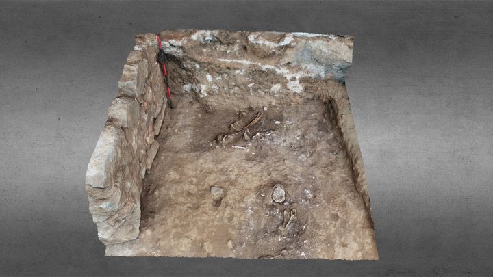 Bloque 5 - Conjunto Óseo N°8 3D Model