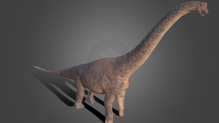 Giraffatitan 3D Model
