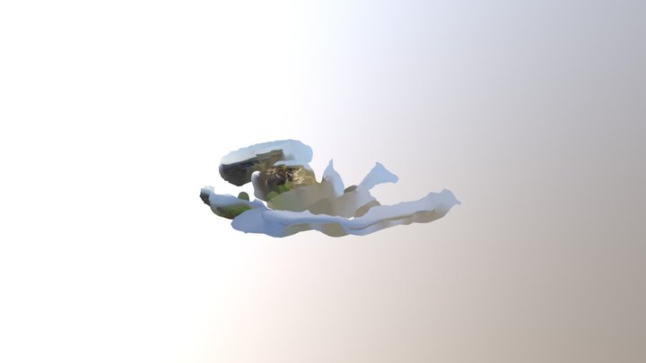 Pırnalık22 3D Model