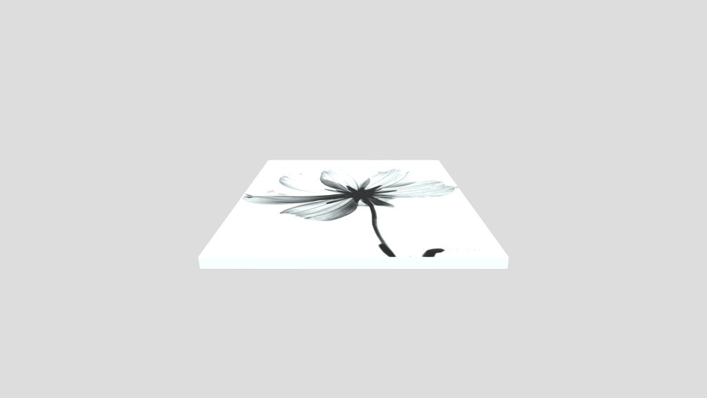 Translucent Flower Picture