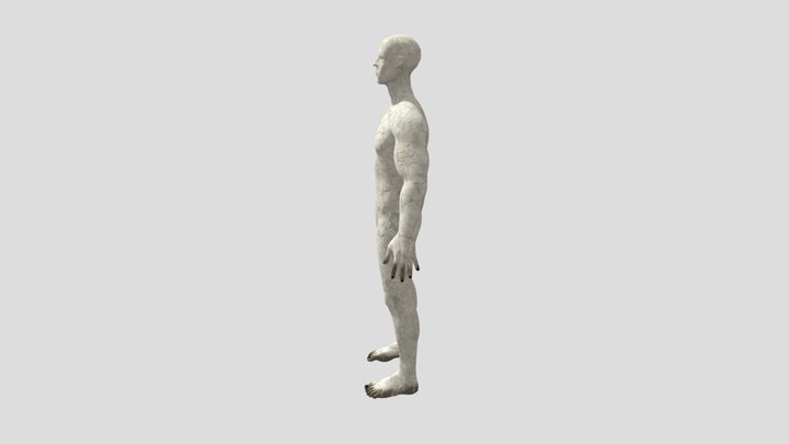 Idol Textured 3D Model
