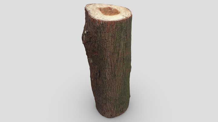 Wooden log 3D Model