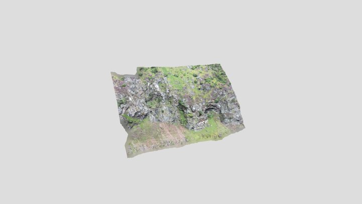 Soldier's Head 3D Model