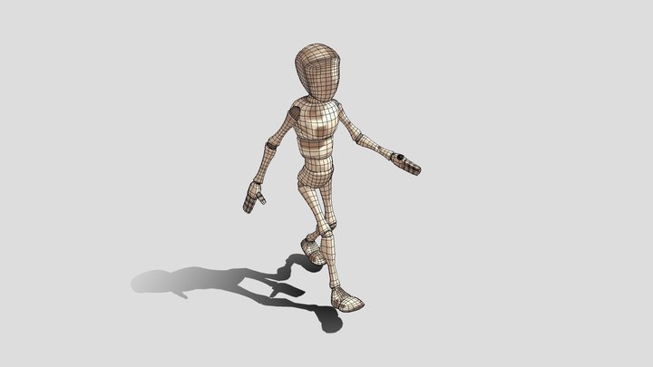 Basic Walk Cycle 3D Model