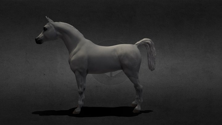 лошадь ( без поставки ) 3D Model