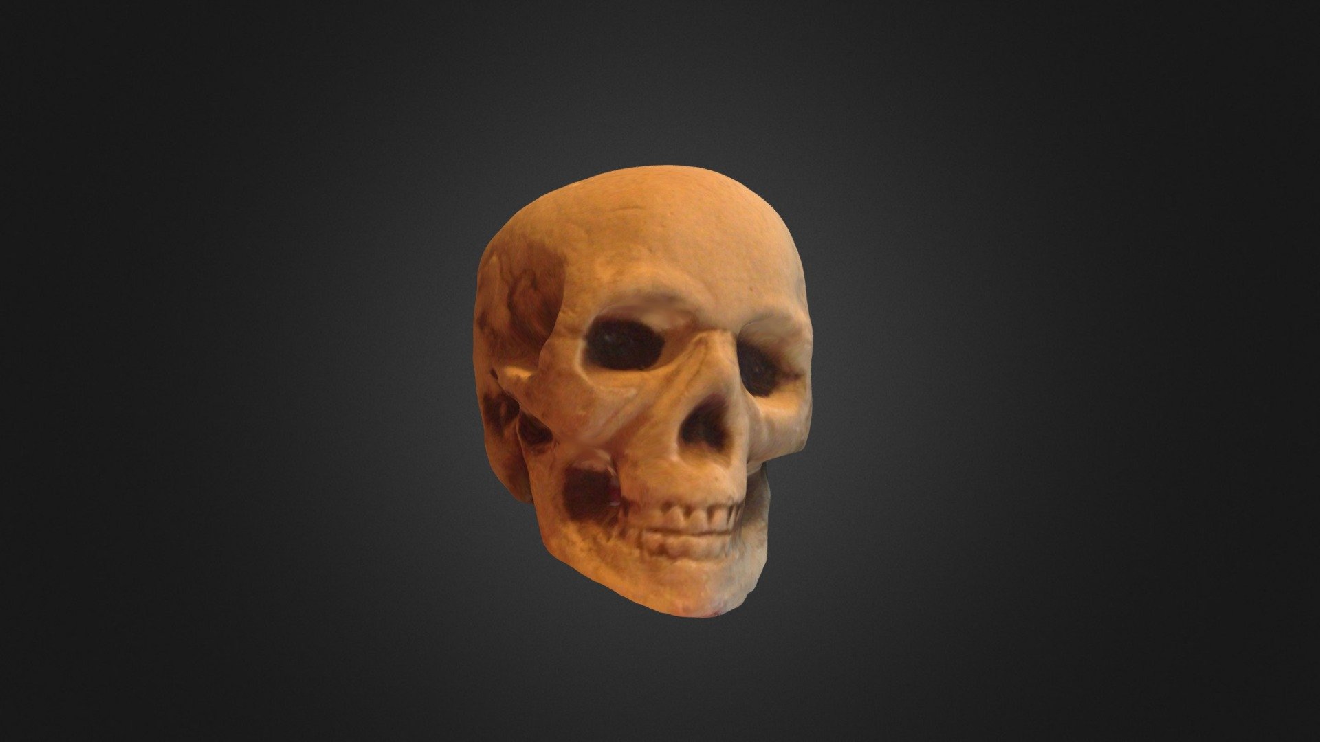 skull object