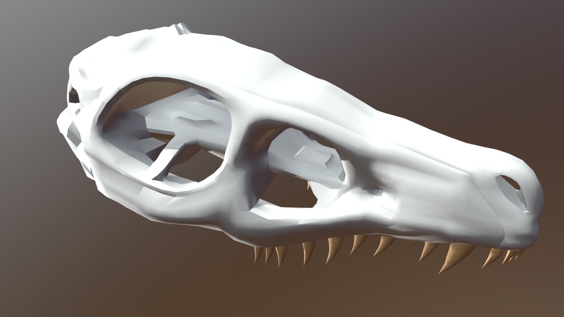 Raptor Skull