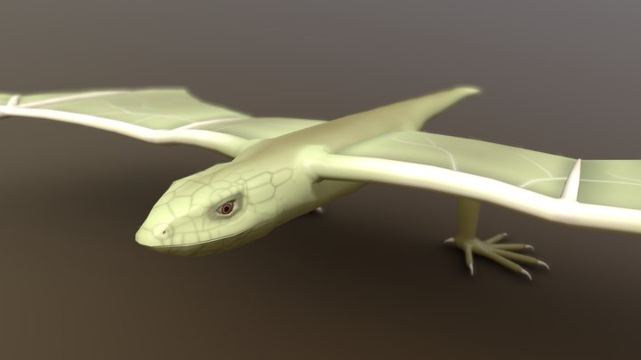 Flying Lizard 3D Model