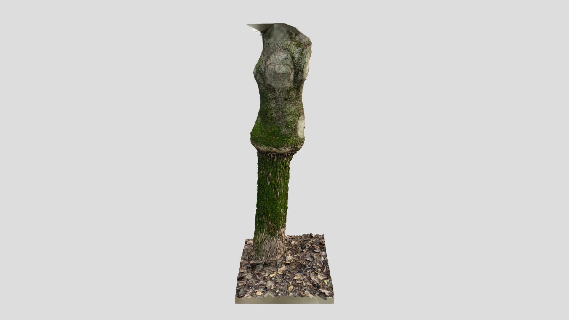 Trunk 01 - Download Free 3D model by martinblond [36e807a] - Sketchfab
