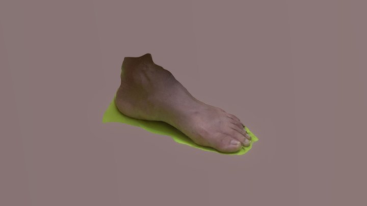 A Foot 3D Model