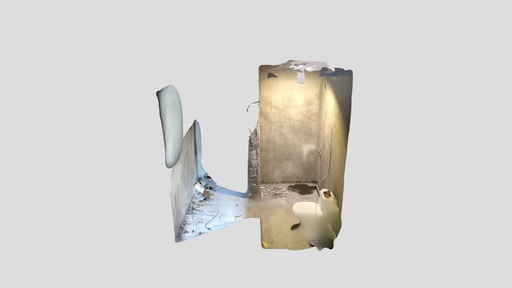 Polycam capture 3D Model