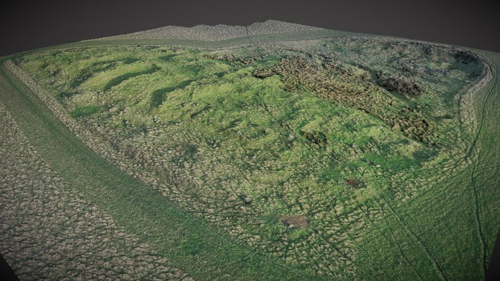 Deserted settlement, Mulchaich farm 3D Model