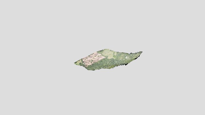 Aglientu2 3D Model
