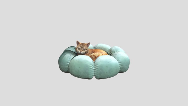 Cat in Cozy Nest 3D Model