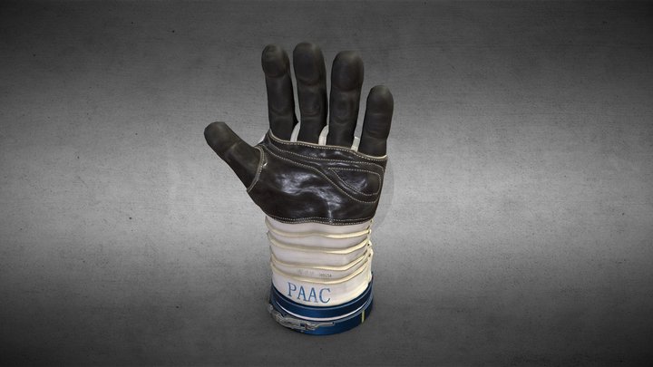 Glove 3D Model